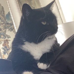 Meet your Posher, Cassi